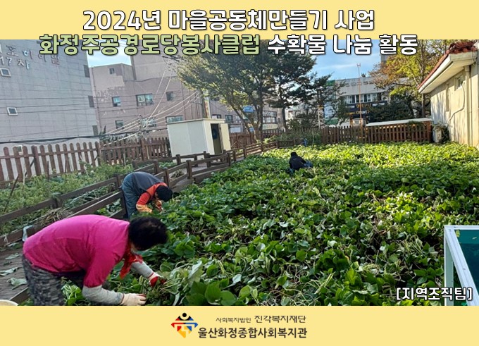 [울산화정종합사회복지관] 마을공동체만들기사업 화정주공경로당봉사클럽 수확물 나눔 활동