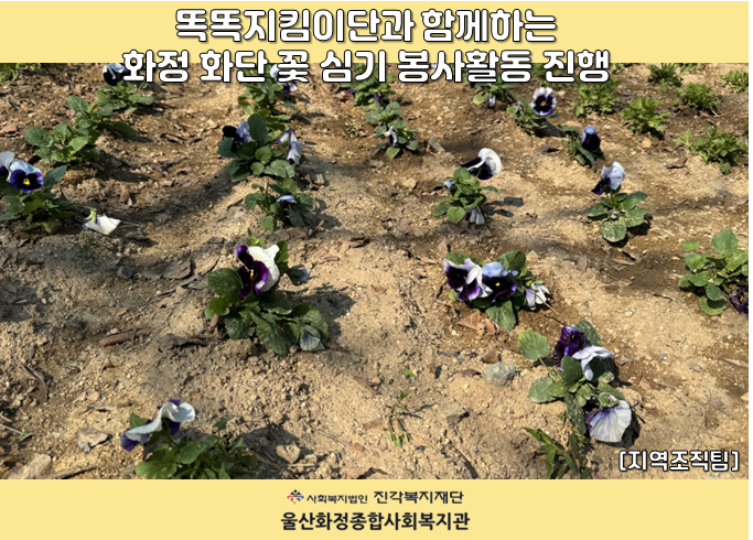 [울산화정종합사회복지관] 똑똑지킴이단과 함께하는 화정 화단 꽃심기 봉사활동 진행