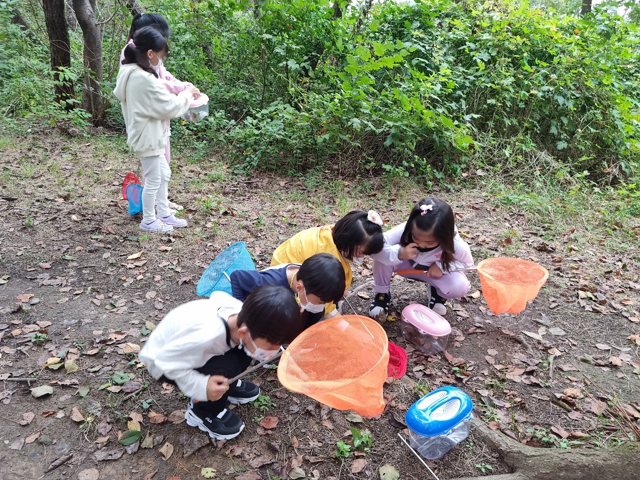 4.숲생태놀이체험.jpg