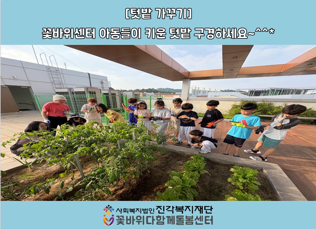 [꽃바위다함께돌봄센터] - 텃밭 가꾸기 프로그램